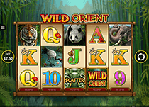 Wild Orient Slots