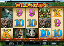 Spin Casino Wild Orient Slots